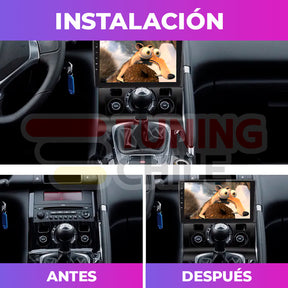 Bisel Adaptador Radio 9 Peugeot 3008 2013 + Ramal + Canbus