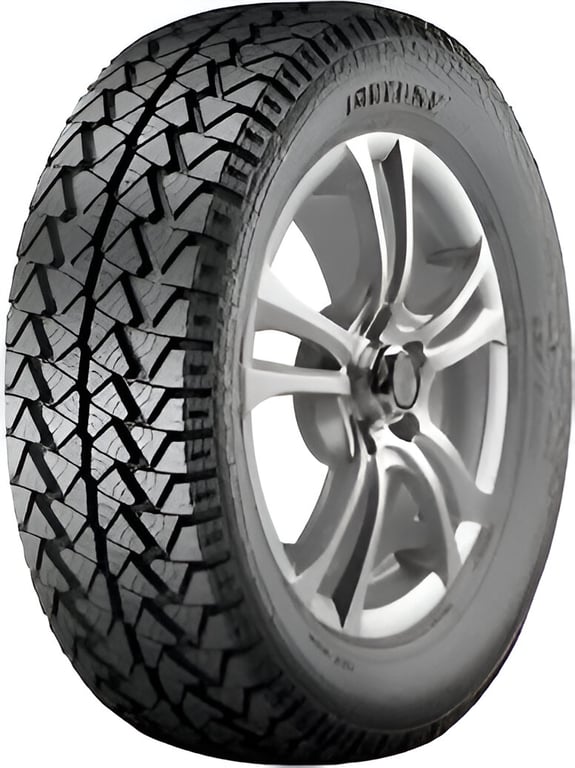 Neumático 225/65 R17 Fortune FSR-302 102H