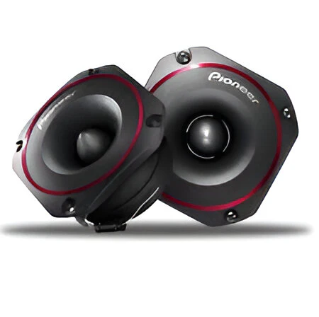 Parlante Pioneer TS-B351PRO