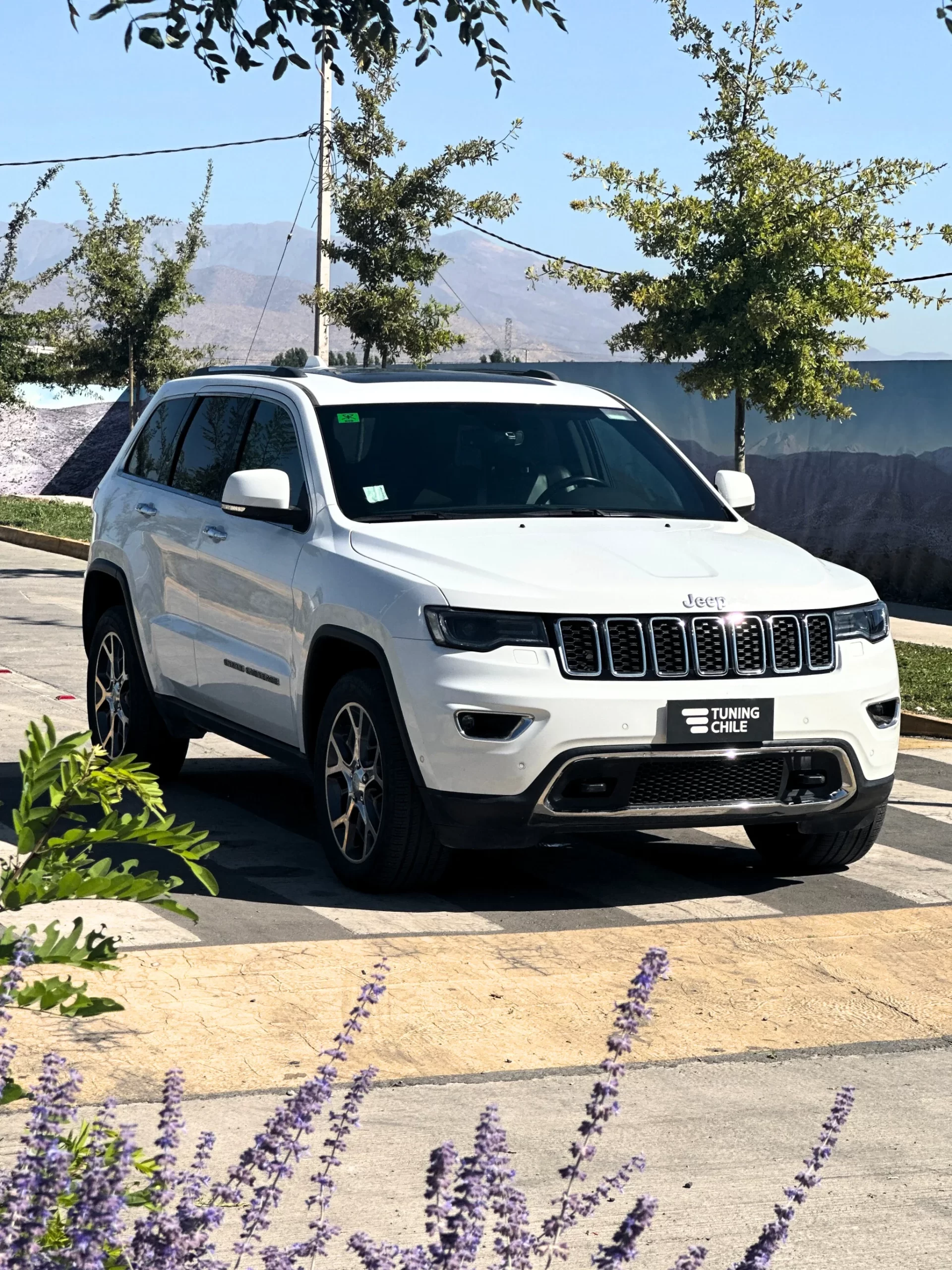 Jeep Grand Cherokee 3.6 V6 LTD 4×4 AUT 2021